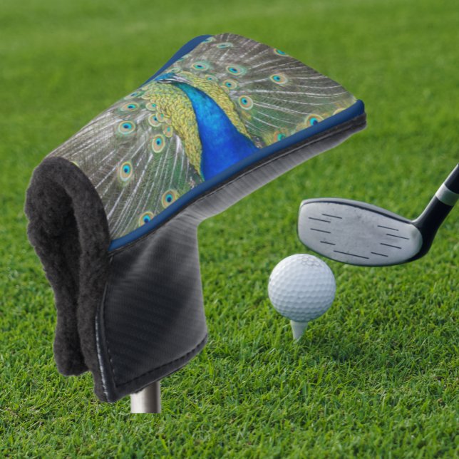 Blue Peacock Feather Plumage Golf Head Cover (In Situ Golfing)