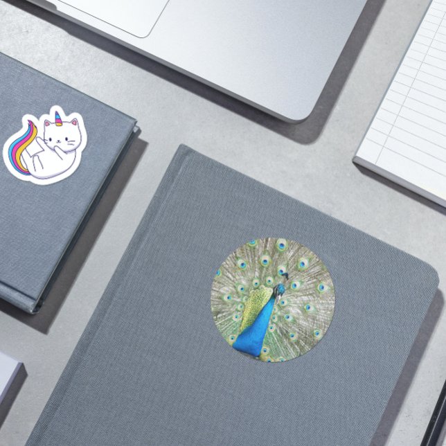 Blue Peacock Feather Plumage Heart Sticker (In Situ Book)