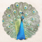 Blue Peacock Feather Plumage