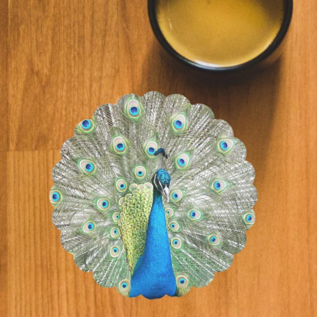 Blue Peacock Feather Plumage Paper Coaster (In Situ Mug)