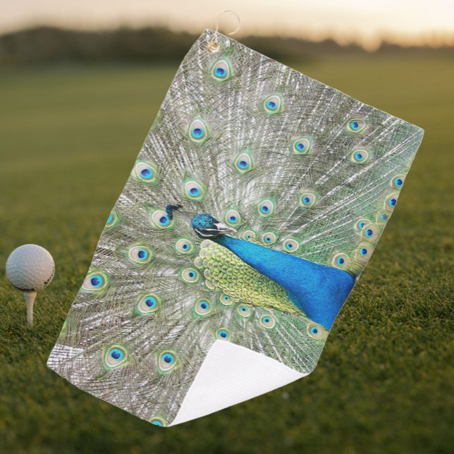 Blue Peacock Feather Plumage Photo Golf Towel (In Situ Golf)