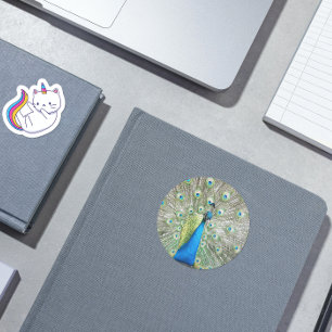 Blue Peacock Feather Plumage Photo Heart Sticker