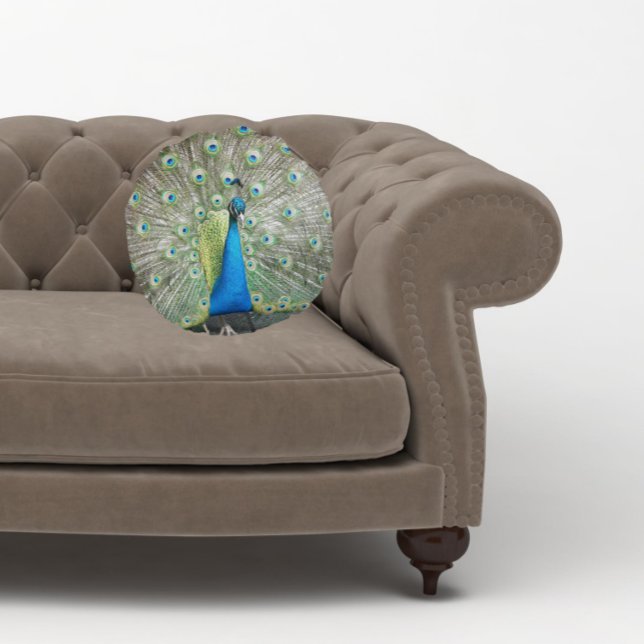 Blue Peacock Feather Plumage Round Cushion (In Situ Sofa)