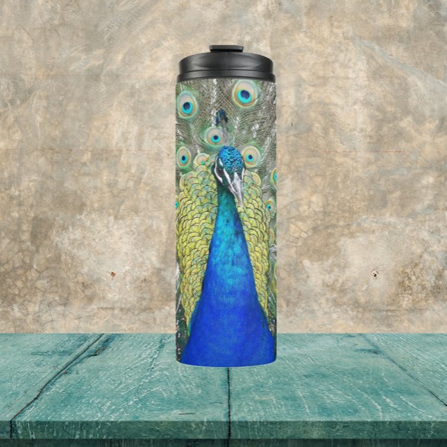 Blue Peacock Feather Plumage Thermal Tumbler (In Situ)