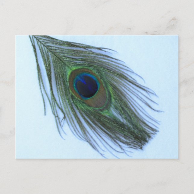Blue Peacock Feather Postcard (Front)