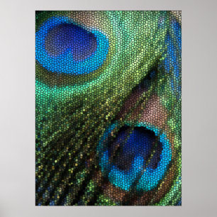 Blue Peacock Feather with Stained Glass Effect Poster