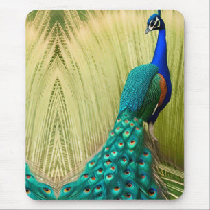 Blue Peacock in grass  Mouse Pad