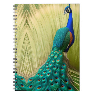 Blue Peacock in grass Notebook
