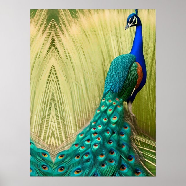 Blue Peacock in grass  Poster (Front)