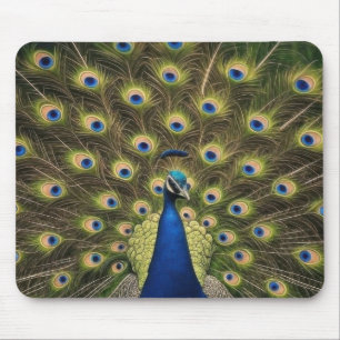 Blue Peacock Mouse Pad