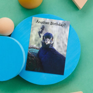Blue Peacock Photo Funny Birthday Card