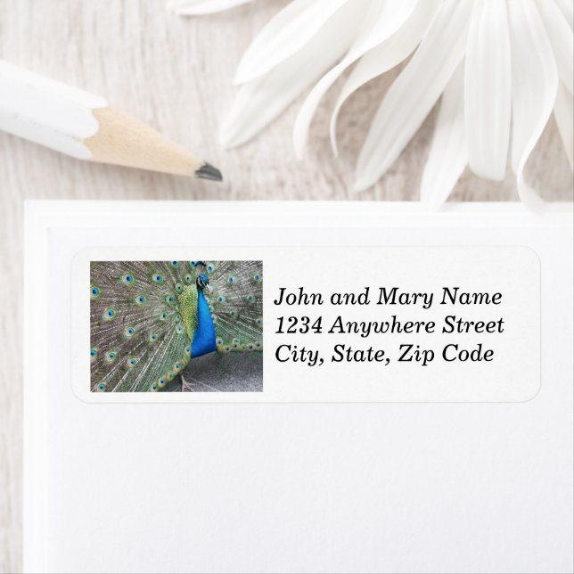 Blue Peacock Plumage Return Address Label (Insitu)