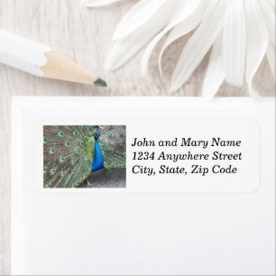 Blue Peacock Plumage Return Address Return Address Label