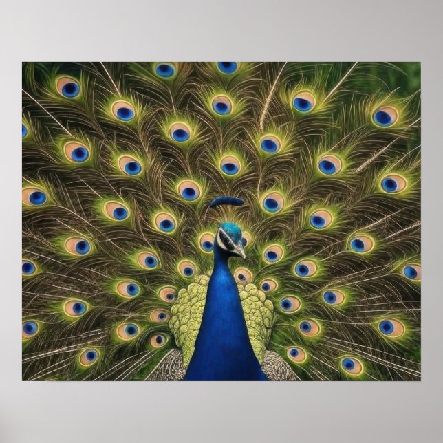 Blue Peacock Poster (Front)