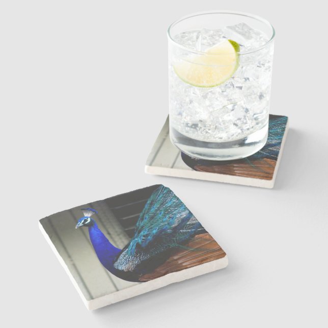 Blue Peacock  Stone Coaster (Side)