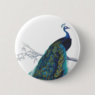 Blue Peacock with beautiful tail feathers 6 Cm Round Badge