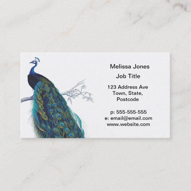 Blue Peacock with beautiful tail feathers Business Card (Front)