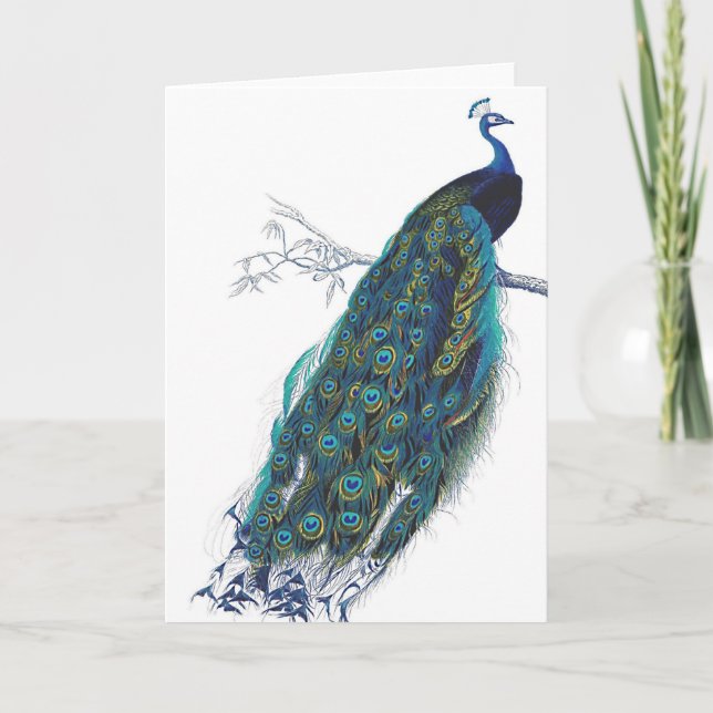 Blue Peacock with beautiful tail feathers Card (Front)