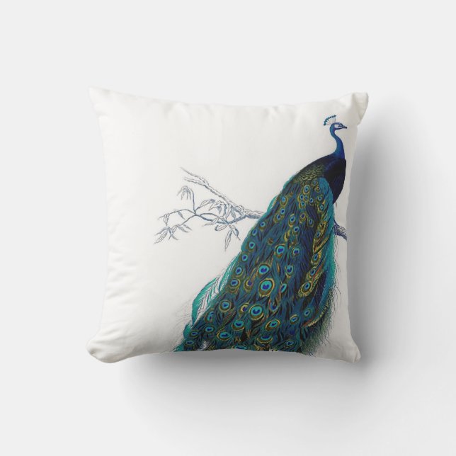 Blue Peacock with beautiful tail feathers Cushion (Front)