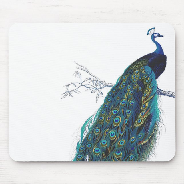 Blue Peacock with beautiful tail feathers Mouse Pad (Front)