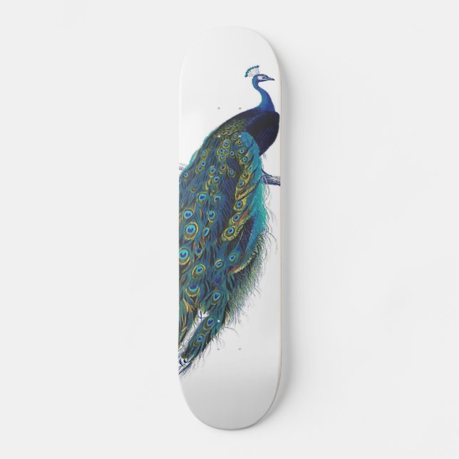 Blue Peacock with beautiful tail feathers Skateboard (Front)