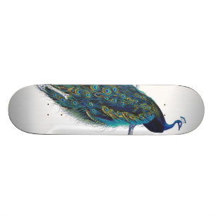 Blue Peacock with beautiful tail feathers Skateboard