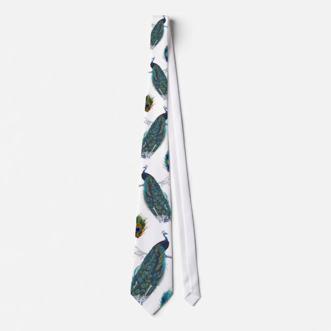 Blue Peacock with beautiful tail feathers Tie (Front)