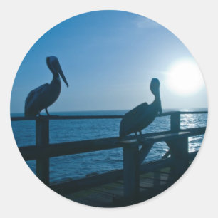 Blue Pelican/Sticker Classic Round Sticker