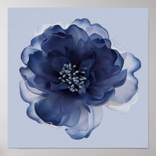 BLUE PEONY FLOWER   POSTER