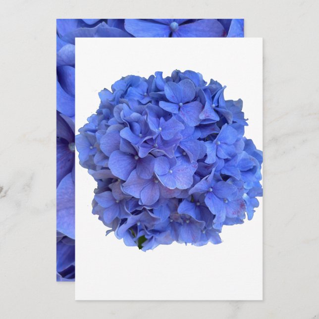 Blue periwinkle elegant floral hydrangeas  invitation (Front/Back)