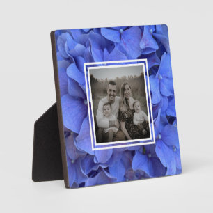 Blue periwinkle elegant floral hydrangeas  plaque