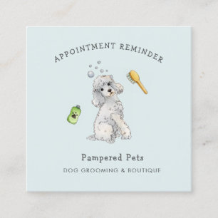 Blue Pet groomer Appointment reminder  Square Business Card