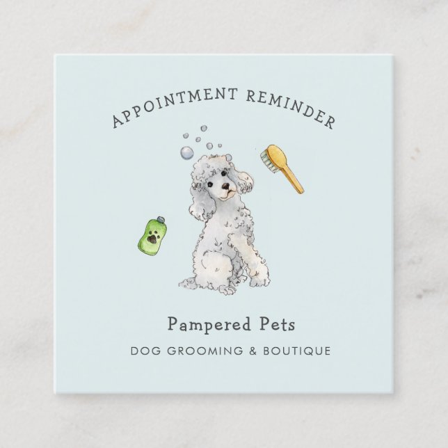 Blue Pet groomer Appointment reminder  Square Business Card (Front)