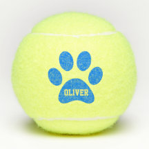 Blue Pet Paw Print Personalised Name Toy