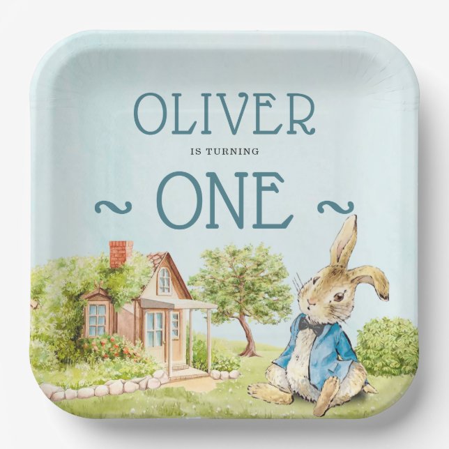 Blue Peter Rabbit  Boy First Birthday Paper Plate (Front)