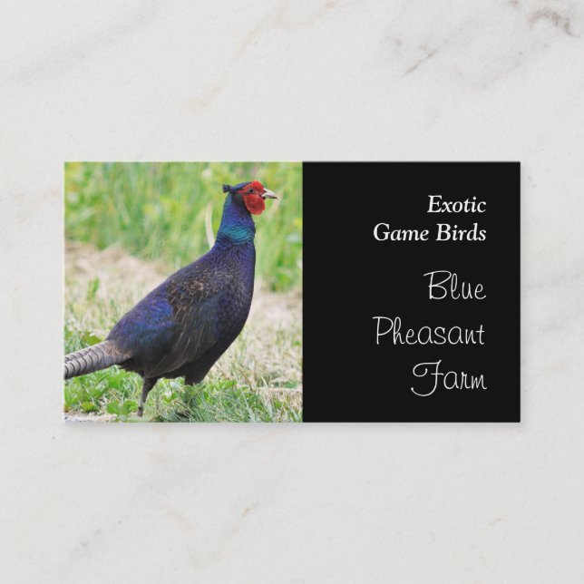 Blue pheasant game birds business card (Front)