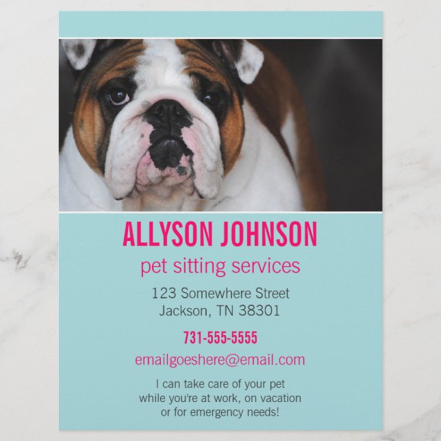 Blue & Pink Photo Pet Sitting Services flyer's 1 Flyer (Front)