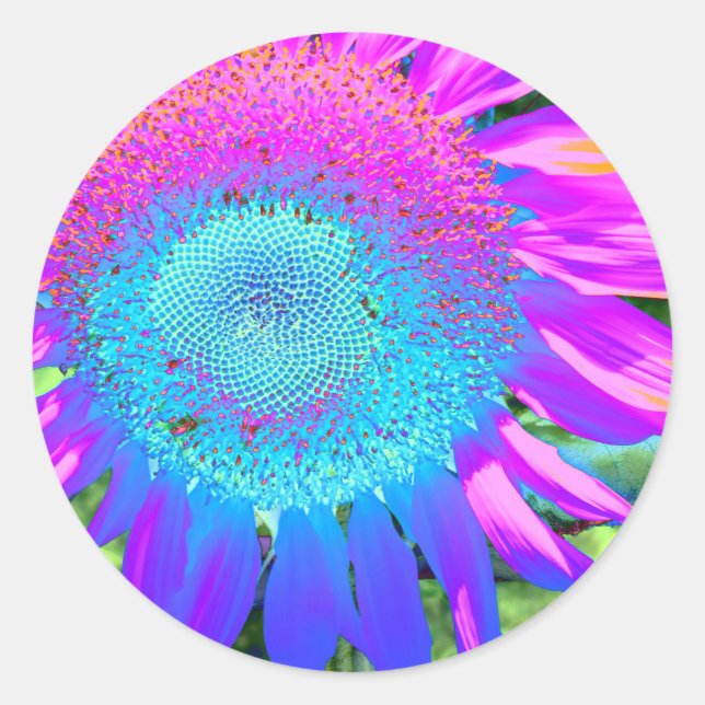 Blue pink retro funky sunflower photo classic round sticker (Front)