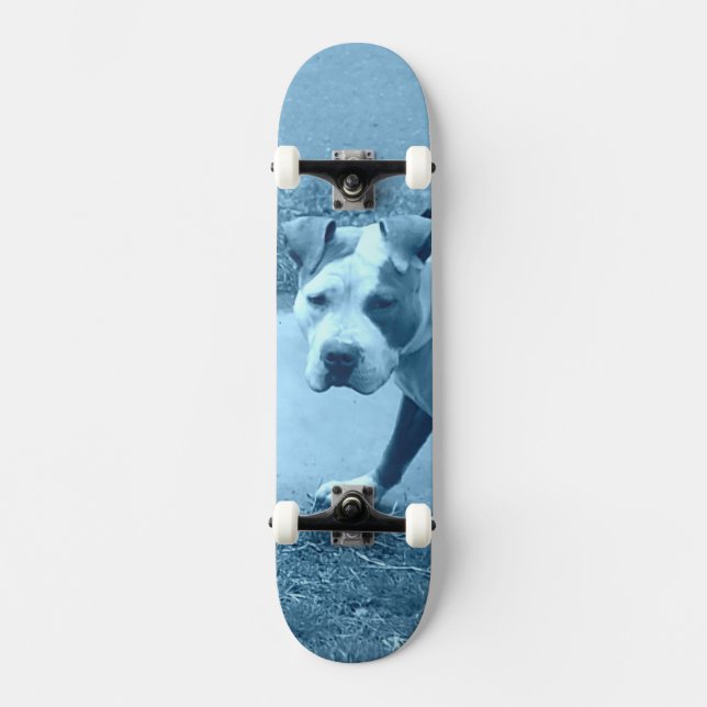 Blue Pit Bull Skateboard (Front)