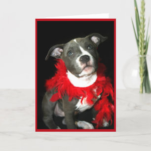 Blue Pitbull Puppy Greeting Card