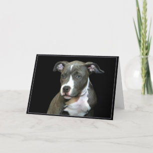 Blue Pitbull Puppy Greeting Card