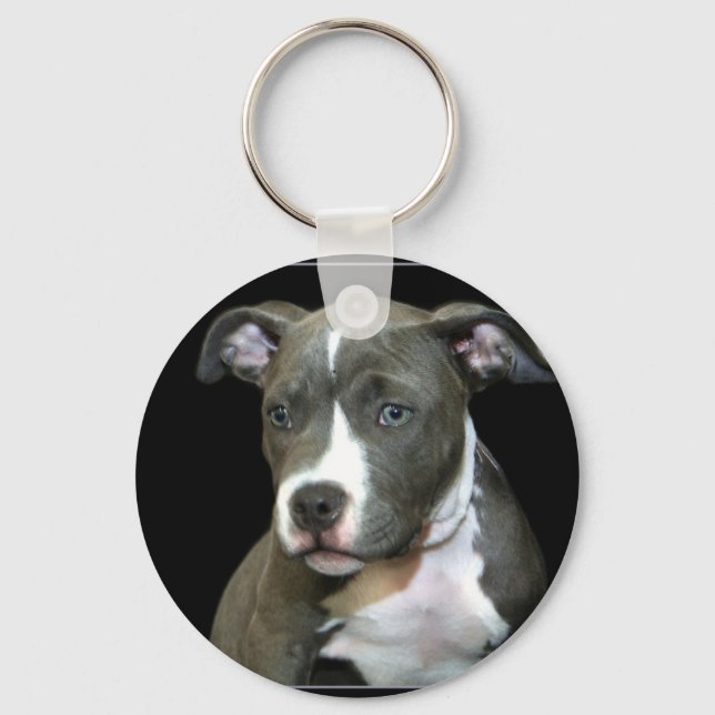 Blue Pitbull Puppy Keychain (Front)