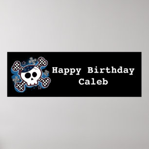 Blue Plaid Skull & Bones Birthday Party Banner Poster