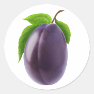 Blue plum classic round sticker