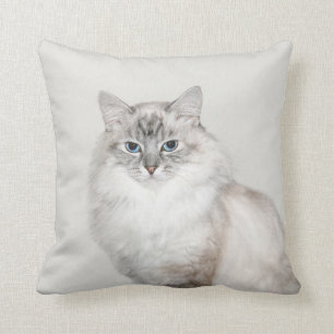 Blue point Himalayan cat Cushion