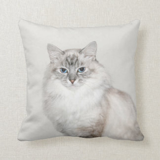 Blue point Himalayan cat Cushion