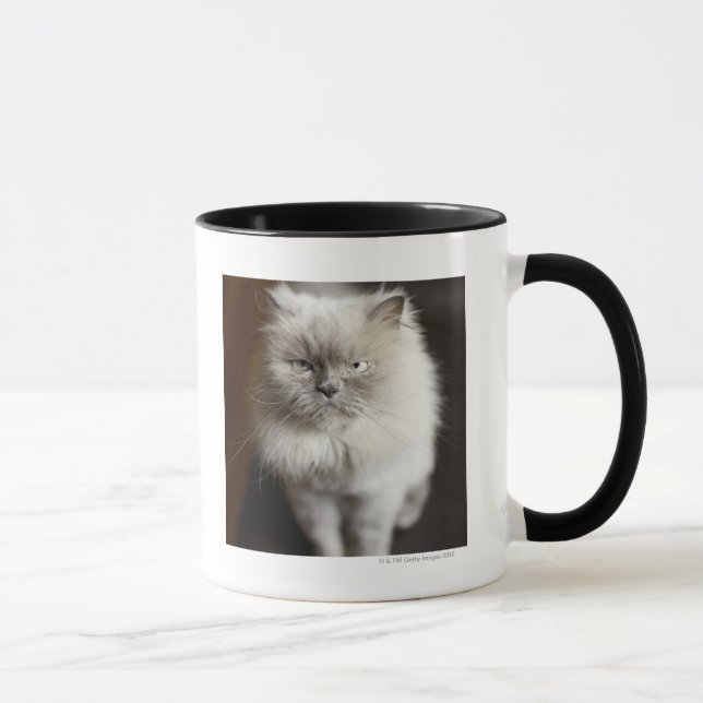 Blue Point Himalayan Cat looking irritated Mug (Right)