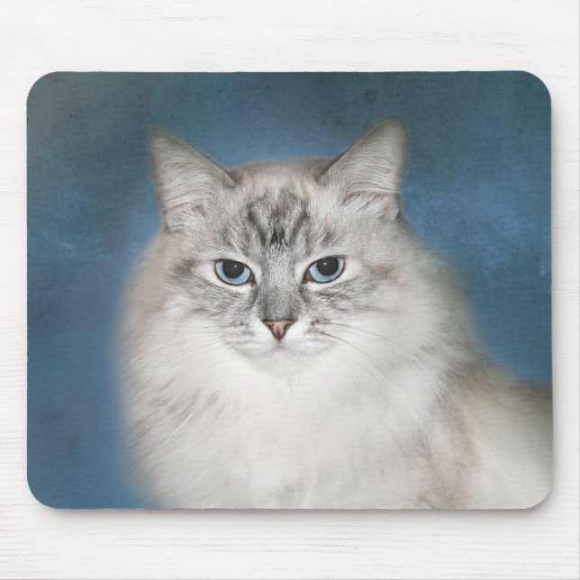 Blue point Himalayan cat Mouse Pad (Front)
