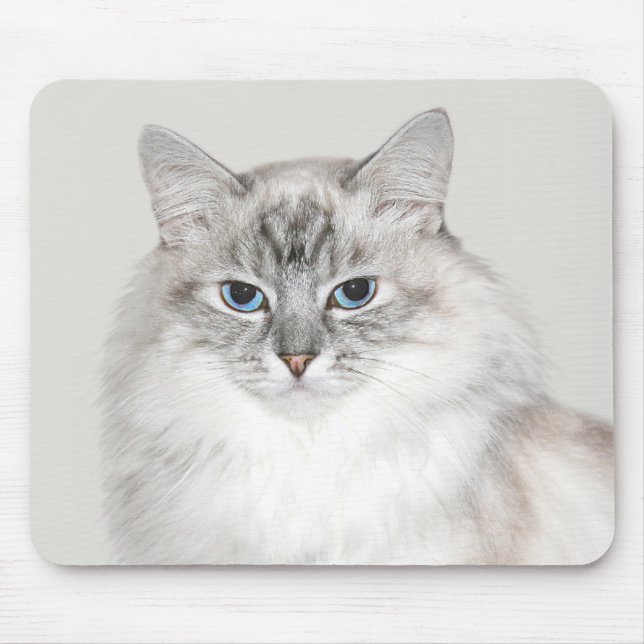 Blue point Himalayan cat Mouse Pad (Front)