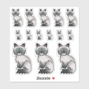 Blue Point Tabby Birman / Ragdoll Cartoon Cats